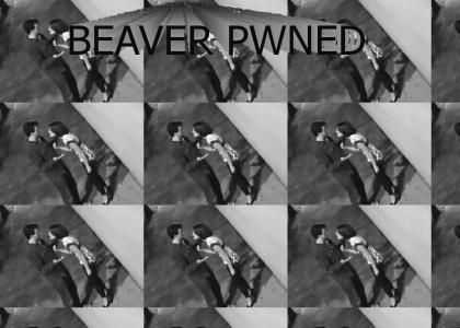 Beaver PWNED