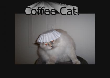 Coffee-Cat