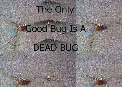 The only good bug is a dead bug