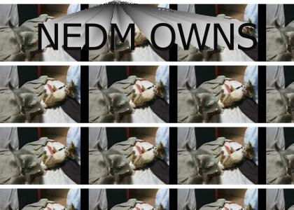 NEDM OWNS ALL