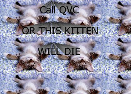 Call QVC or this kitten DIES