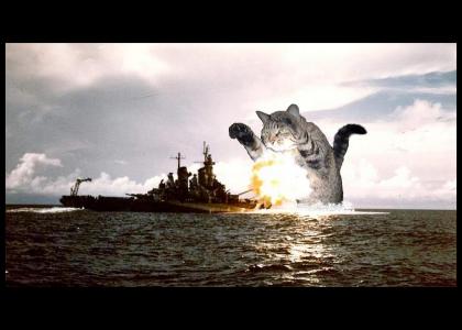 Meow BattleShip