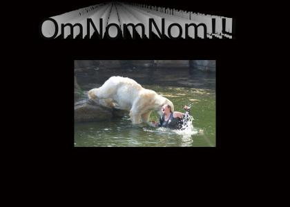 Polar Bears OmNomNom