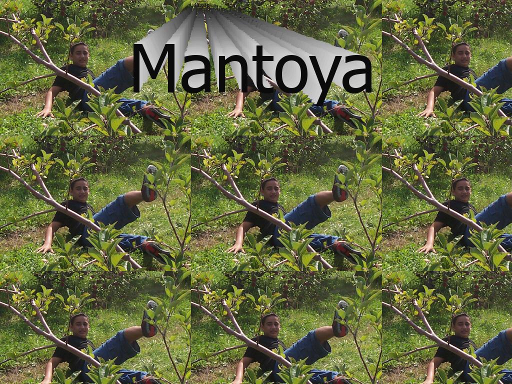 Mantoyafusionx2