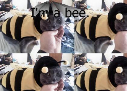 I'm a Bee
