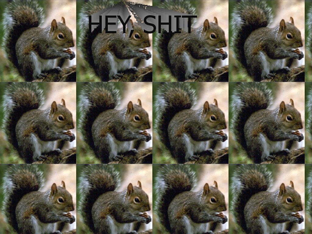 squirrelsaysgtfo