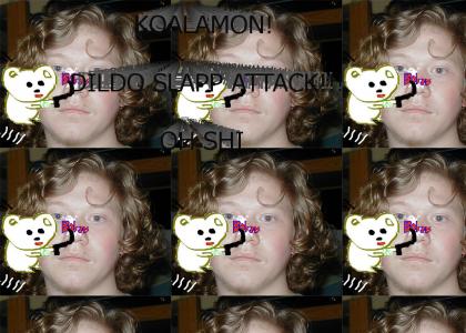 koalamon2