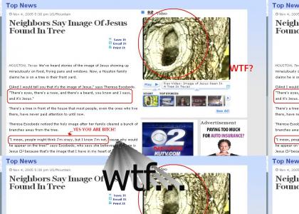 Jesus In A Tree