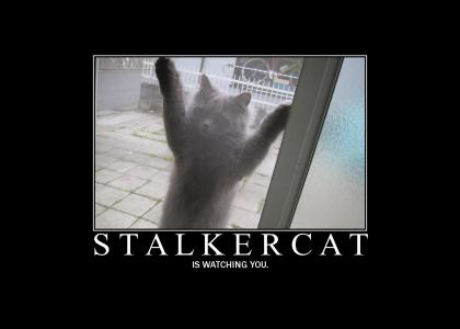 Stalkercat Is Watching You