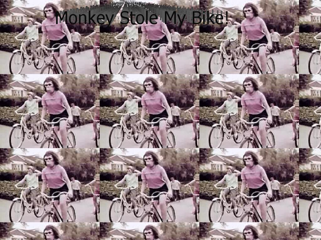 monkeystolemybikewtf