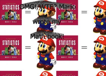 Mario Wrote My Math Book!