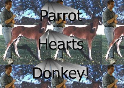 Parrot Hearts Donkey