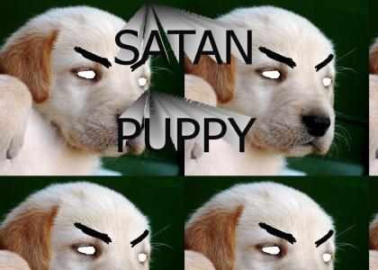 THIS PUPPY IS POSSESSED BY SATAN