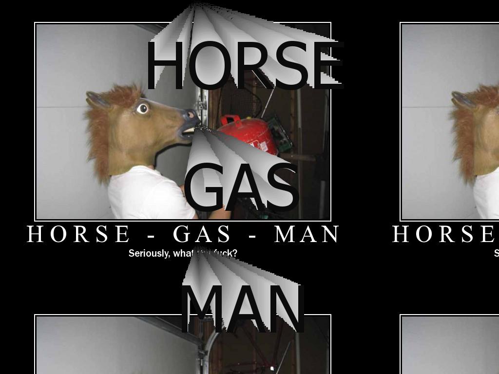 horsegasman