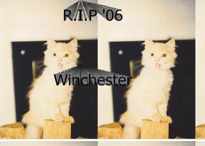 RIP06Winchester