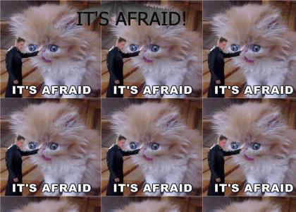 It's afraid!
