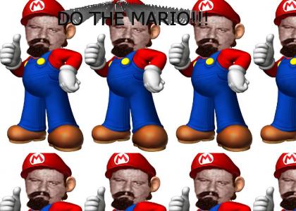 DO THE MARIO!!!!