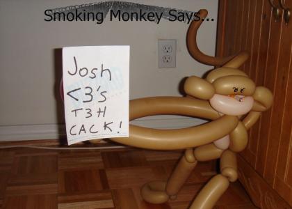 Smoking Monkey Says
