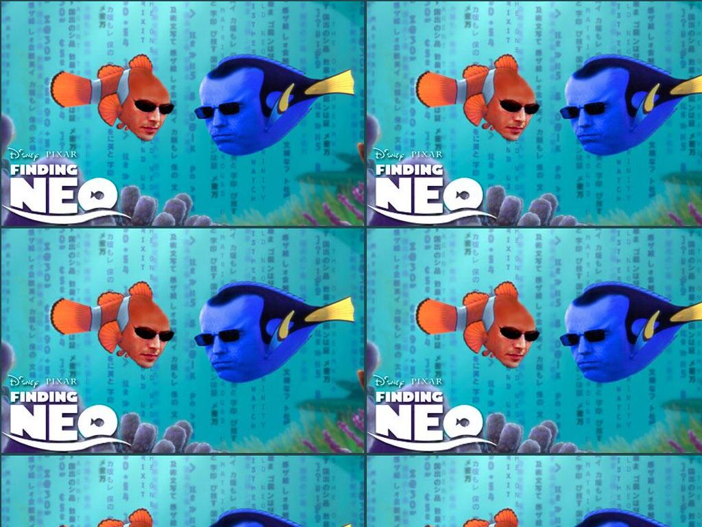 Findingneo2