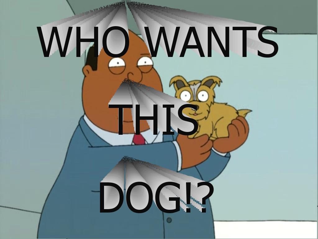 whowantsthisdog