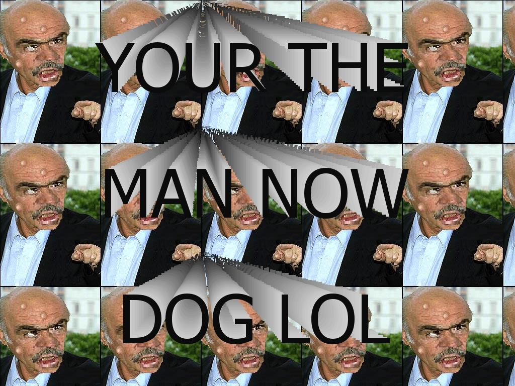 yourthemannowdoglol