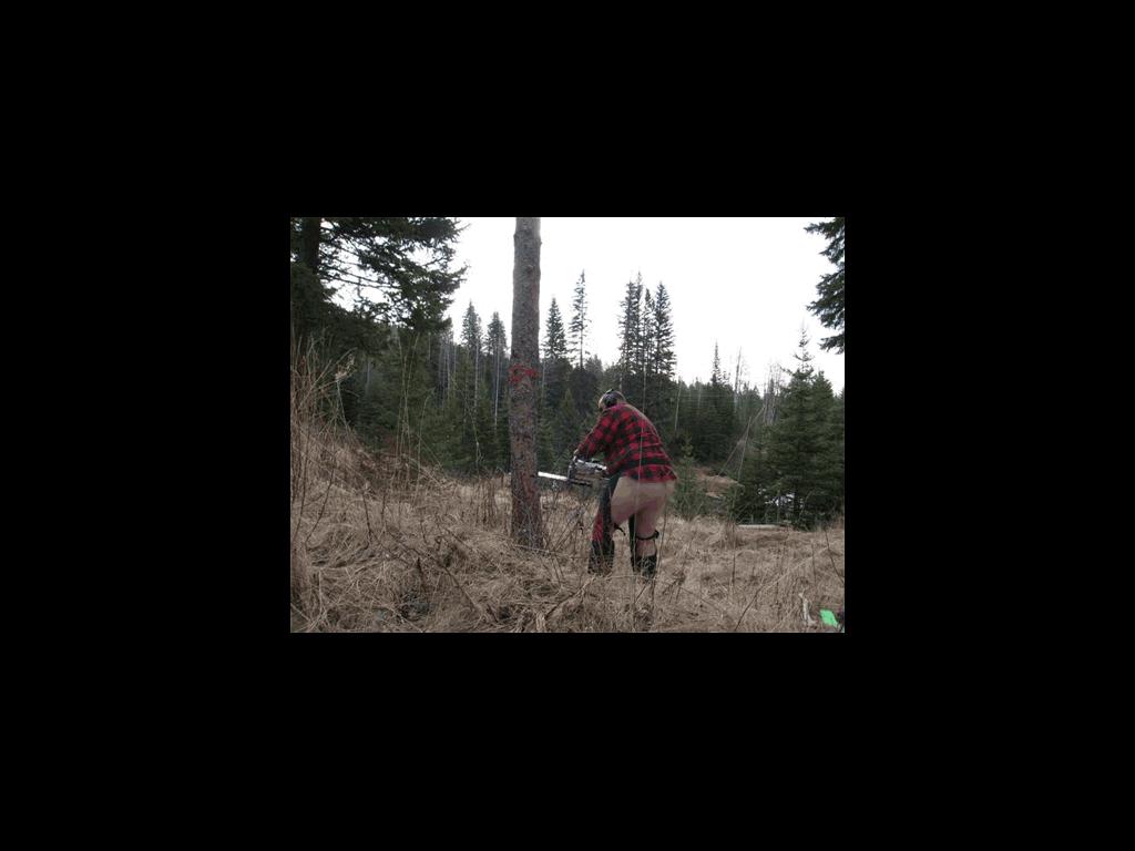 lumberjackseizuring