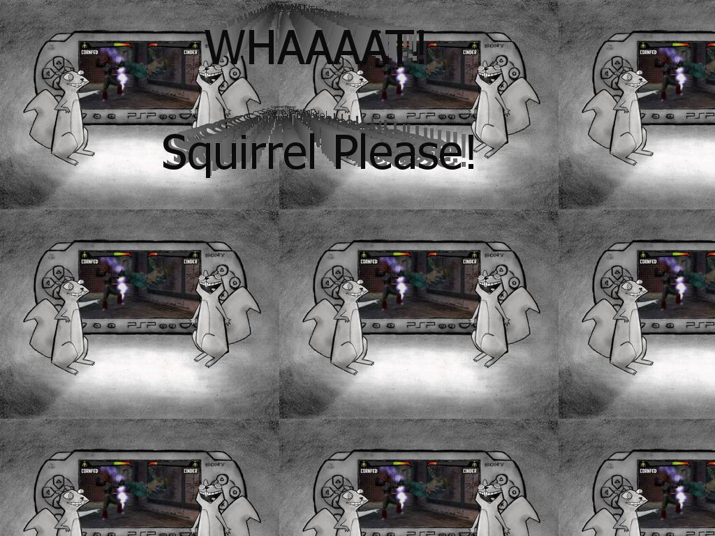 squirrelplease