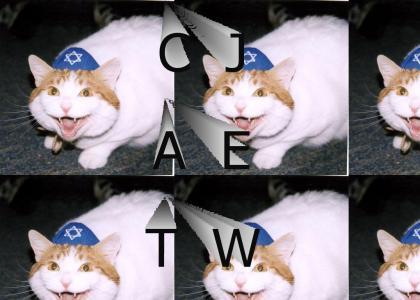 Cat Jew