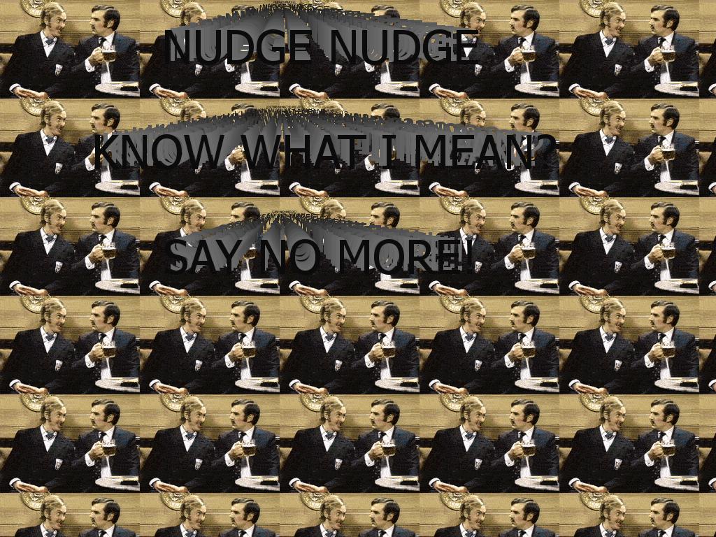 nudgenudge