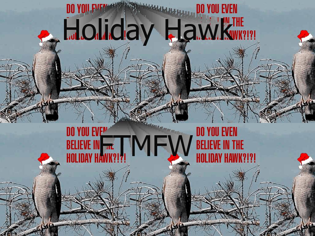 holidayhawk