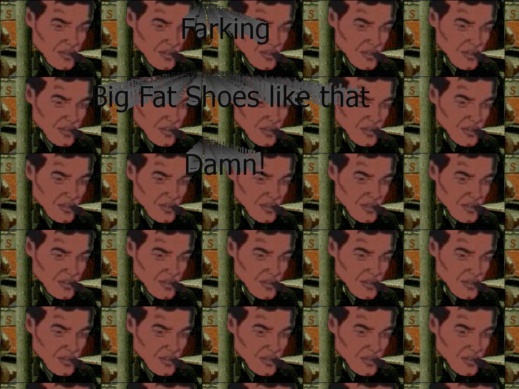 fatshoes2