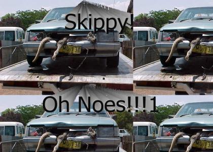 Oh Skippy!