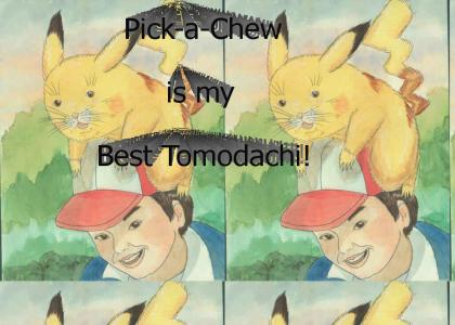 Pick-a-Chew!