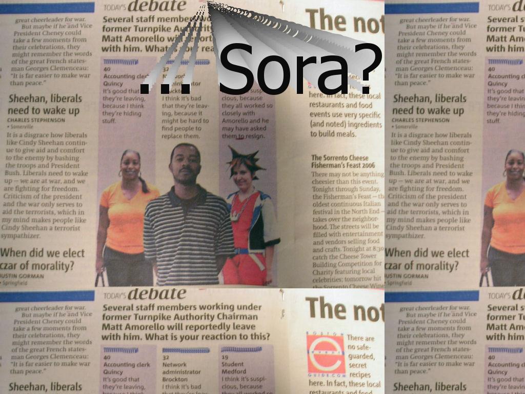 SoraOpinion