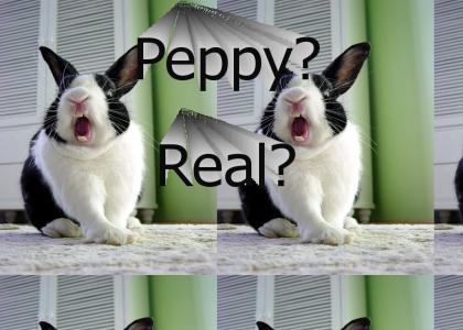 the REAL peppy