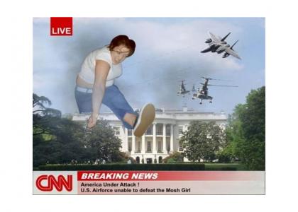 cnn reports lisee terorizes whitehouse