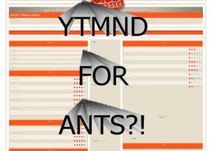 YTMND For Ants?!