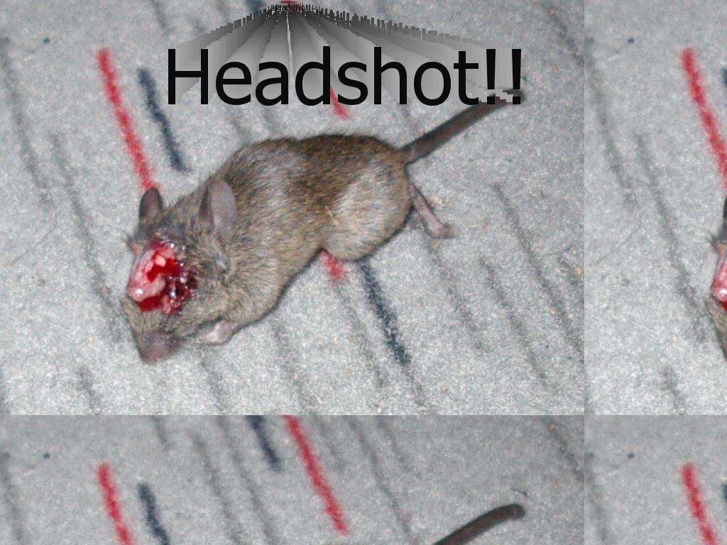 mouseheadshot