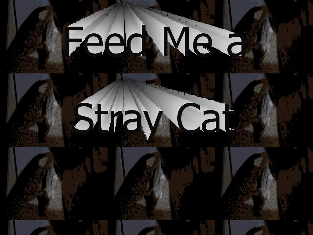 feedmeastraycat