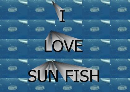 The Official Sun Fish YTMND The Official Sun Fish YTMND