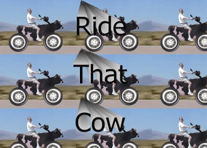 Ridin' The Cow