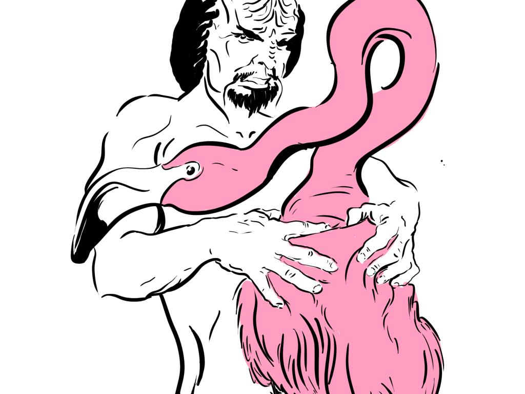 FlamingoFucker