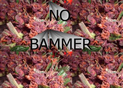 No Bammer