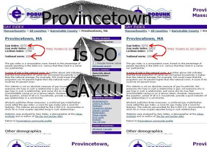 Province Town is SO GAY!!!!