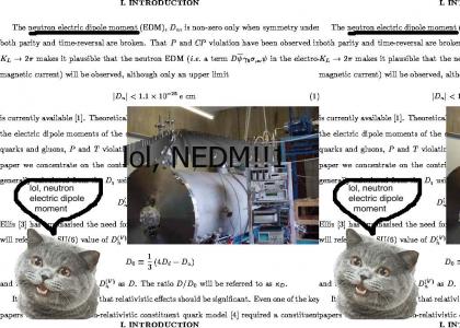 Neutron Electric Dipole Moment (NEDM)