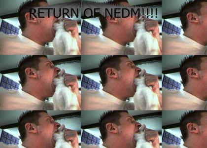 Return Of NEDM