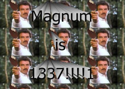 Magnum1337
