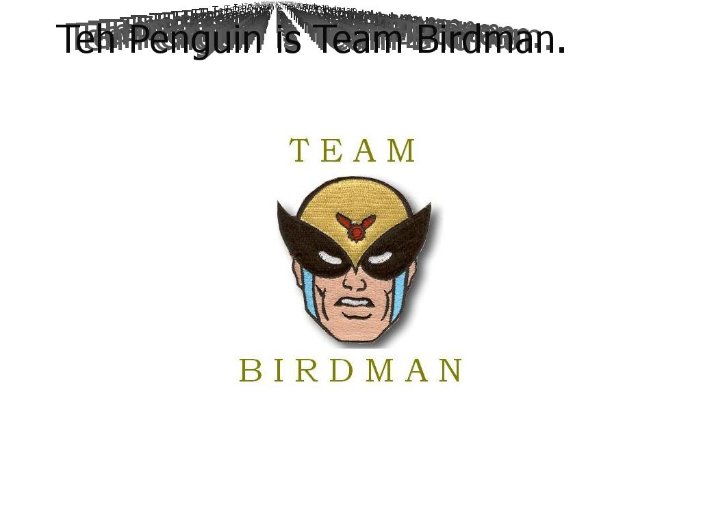 teambirdman