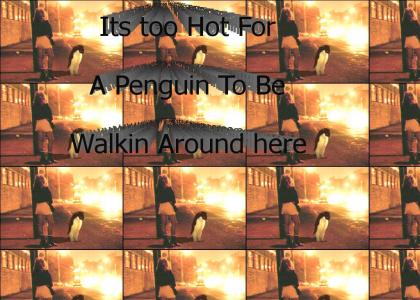 Too Hot for a Penguin