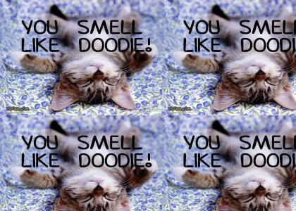 Kitty Says You Smell Like Doodie!